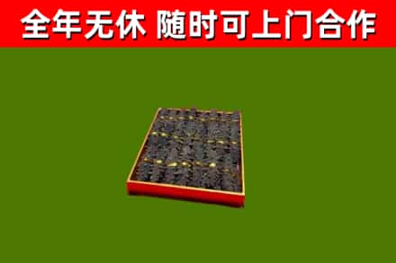 固始回收海参